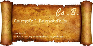 Csurgó Barnabás névjegykártya